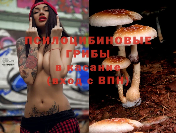ALPHA-PVP Дмитровск