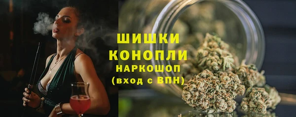 спайс Дмитриев