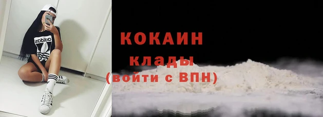 спайс Дмитриев